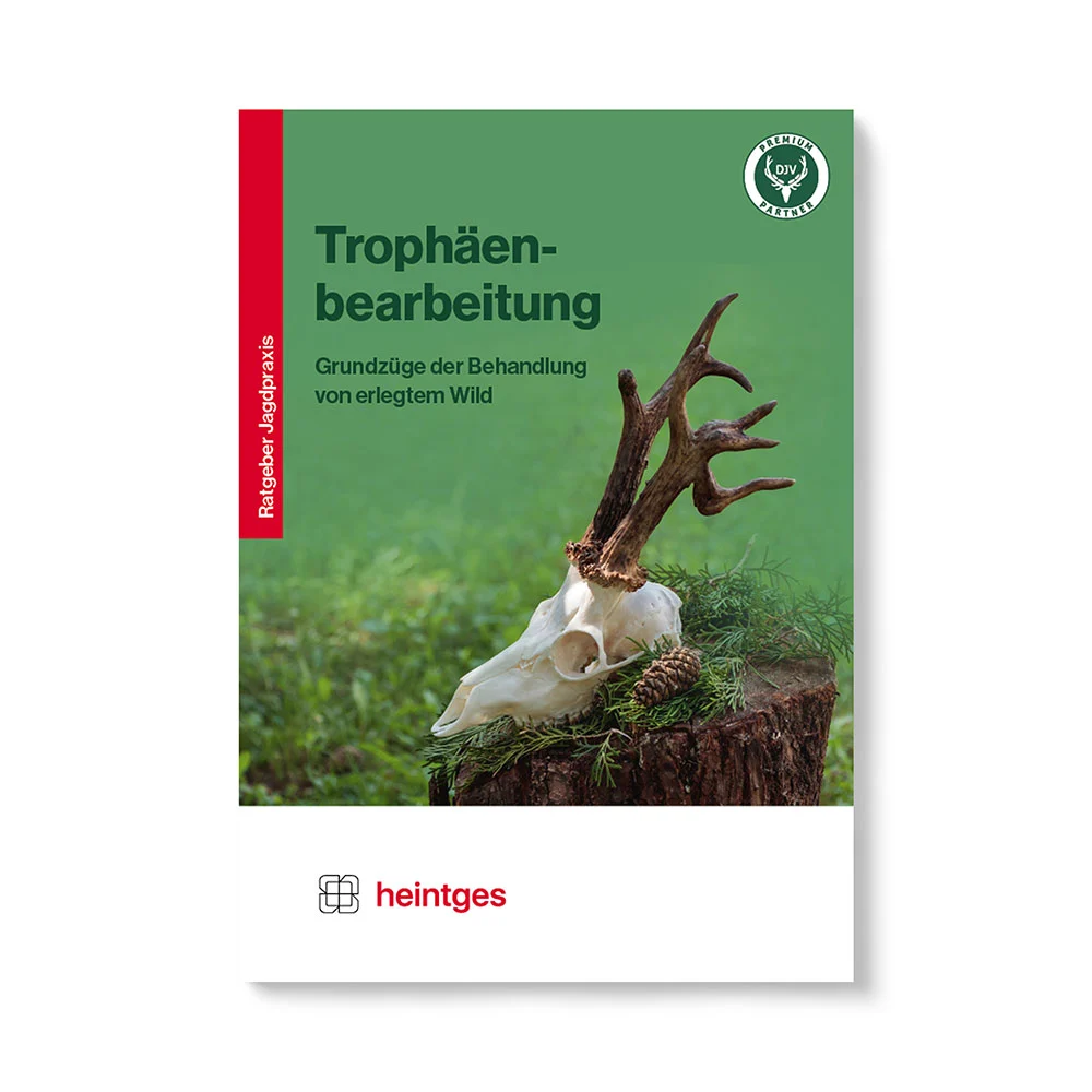 Heintges Handbuch Trophäenbearbeitung