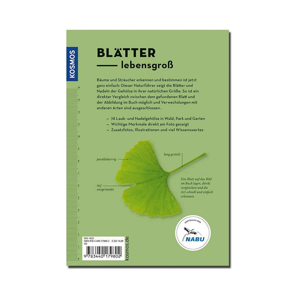 Kosmos Buch: Bäume am Blatt erkennen – Bild 3