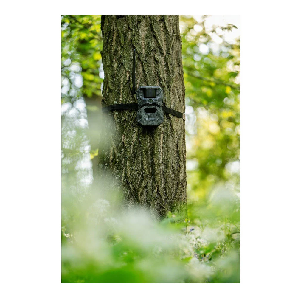 Hikmicro Wildkamera T16 4G LTE – Bild 5