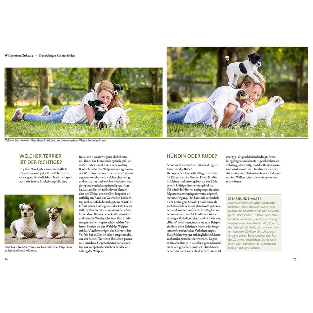 Praxiswissen Hund: Parson & Jack Russell Terrier – Bild 2