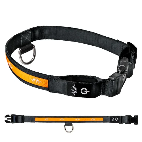 Blaser LED Hundehalsband
