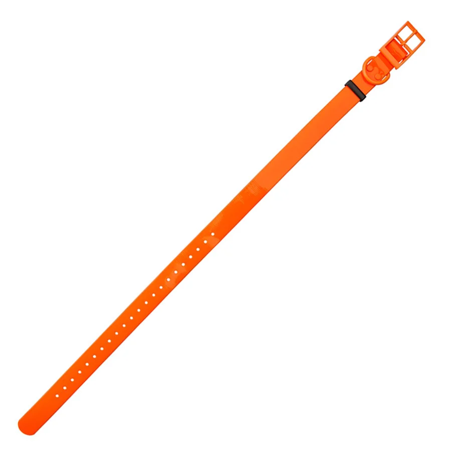 HP&G Hundehalsband orange