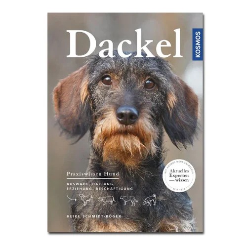 Praxiswissen Hund: Dackel