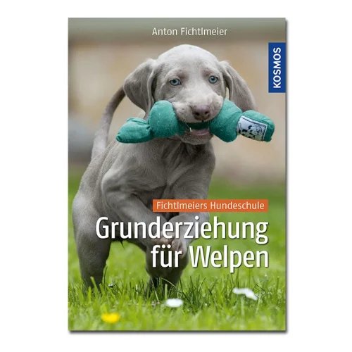 Grunderziehung für Welpen
