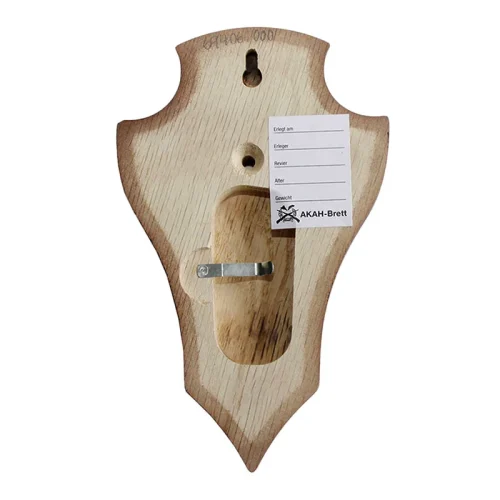 5 Gehörnbretter Rehwild Eiche dunkel, spitz