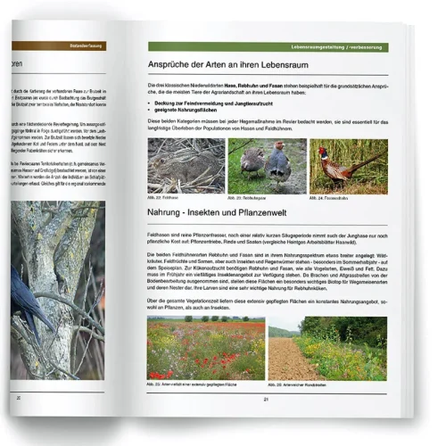 Heintges Handbuch für die Niederwildhege