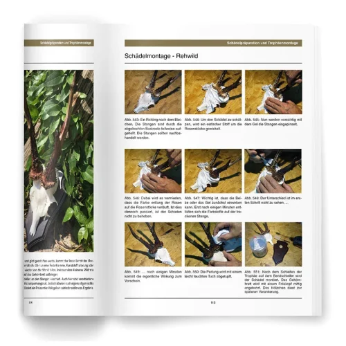 Heintges Handbuch der Trophäenbearbeitung