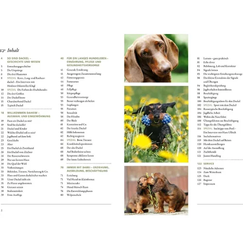 Praxiswissen Hund: Dackel
