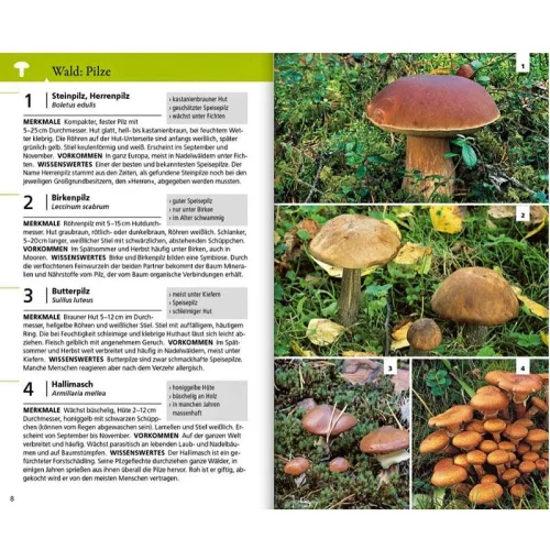 Kosmos Naturführer für unterwegs