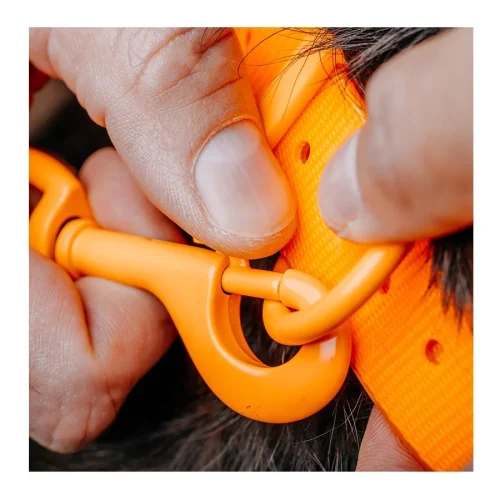 HP&G Schleppleine 9 Meter orange